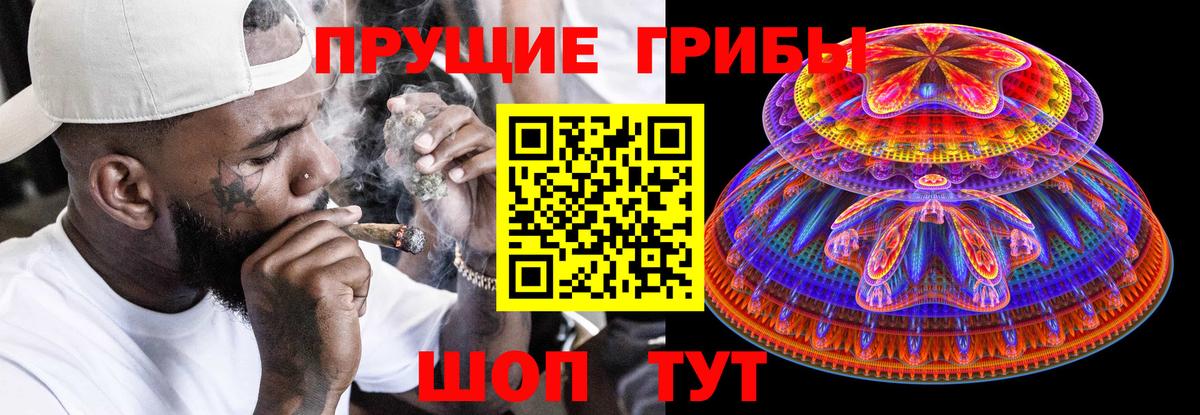 Заволжье  Галлюциногенные грибы Psilocybine cubensis  Вход с VPN 